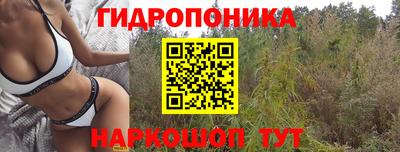 ECSTASY Абакан